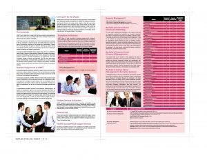 bsc-hons-accounting-and-finance_page_2