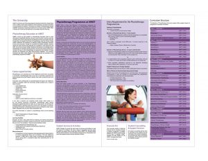 bachelor-of-physiotherapy_page_2